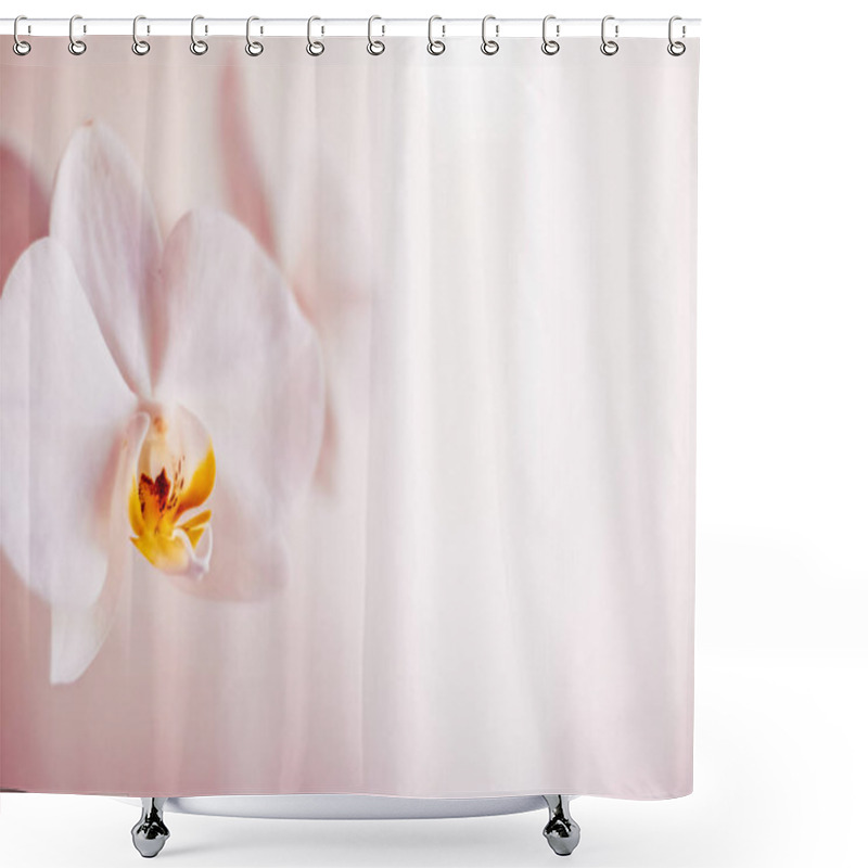 Personality  Pink Orchid Flower In Bloom, Abstract Floral Blossom Art Backgro Shower Curtains