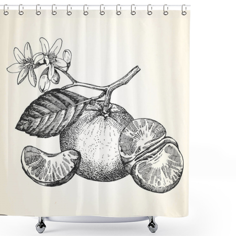 Personality  Hand-drawn Monochrome Mandarins Shower Curtains