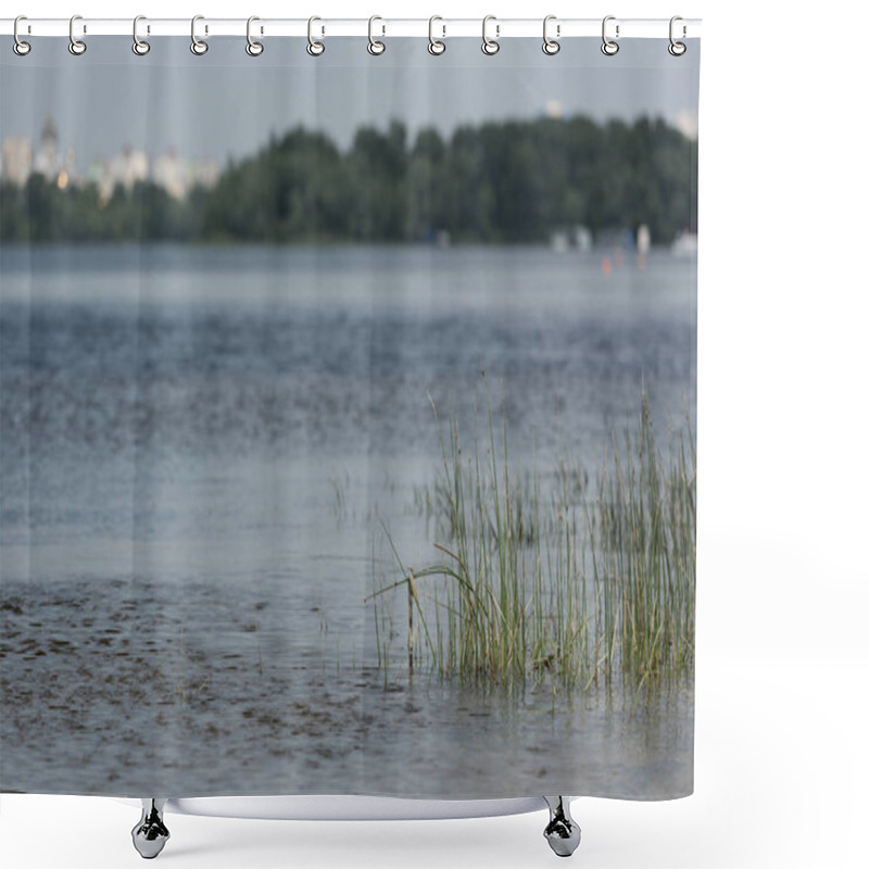 Personality  Scenic View Of Blue River With Green Grass And Trees Shower Curtains