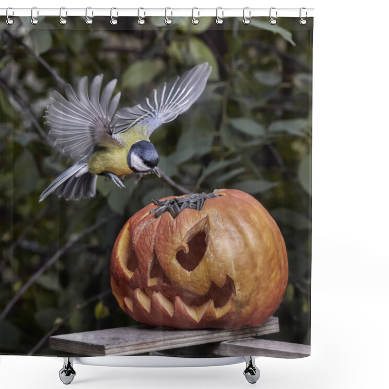 Personality  Bird. Chickadee Perched On A Pumpkin In The Autumn. Halloween Shower Curtains