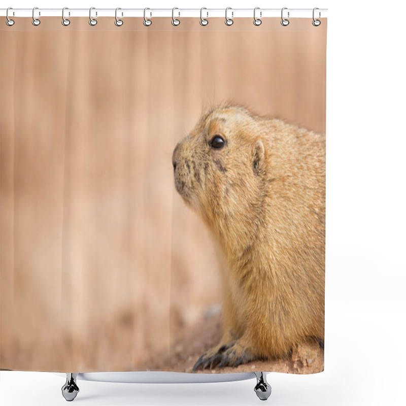 Personality  Closeup Of A Gopher In The Dirt With Copy Space In Blurred Background Shower Curtains