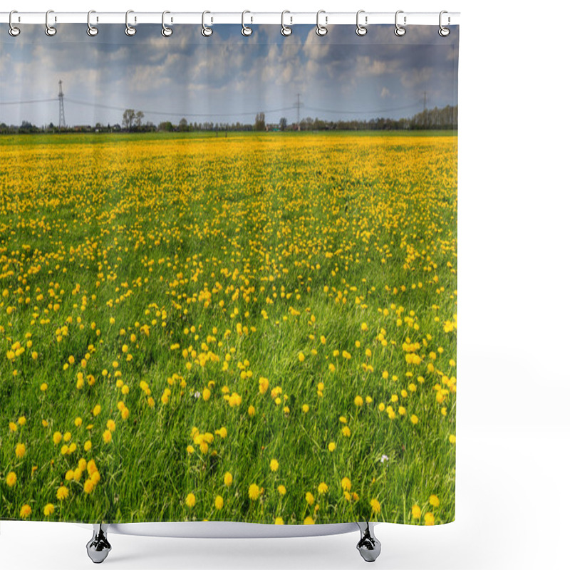 Personality  Dandelion Flower Field In Bloom Shower Curtains