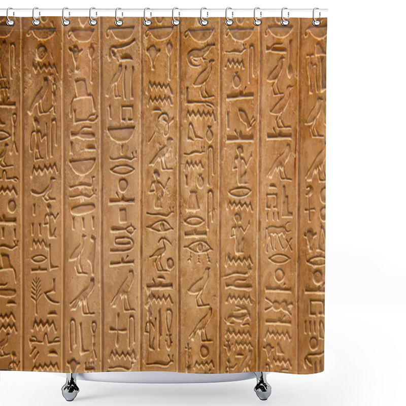 Personality  Hieroglyphs On The Wall Shower Curtains