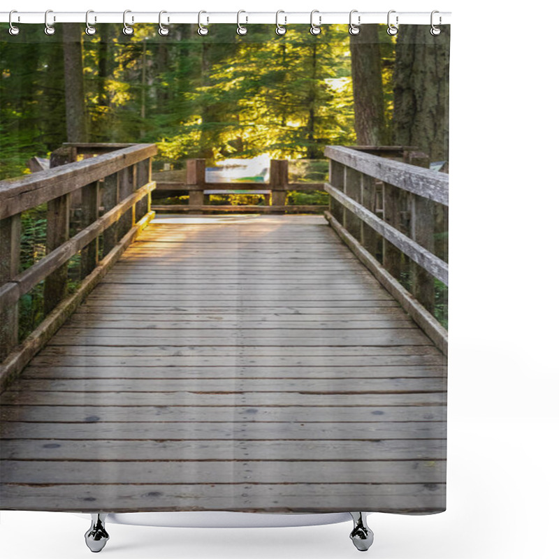 Personality  Eco Path Wooden Walkway In The Forest. Ecological Trail Path. Wooden Path In The National Park In Canada. Travel Photo, Selective Focus, Nobody Shower Curtains