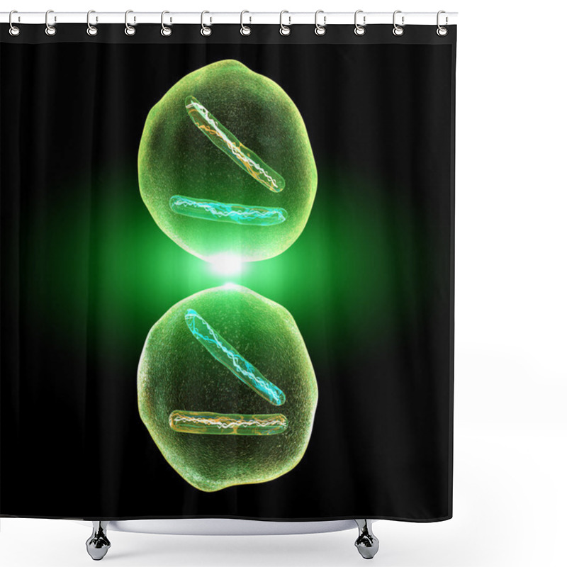 Personality  Cell Division Mitosis Shower Curtains