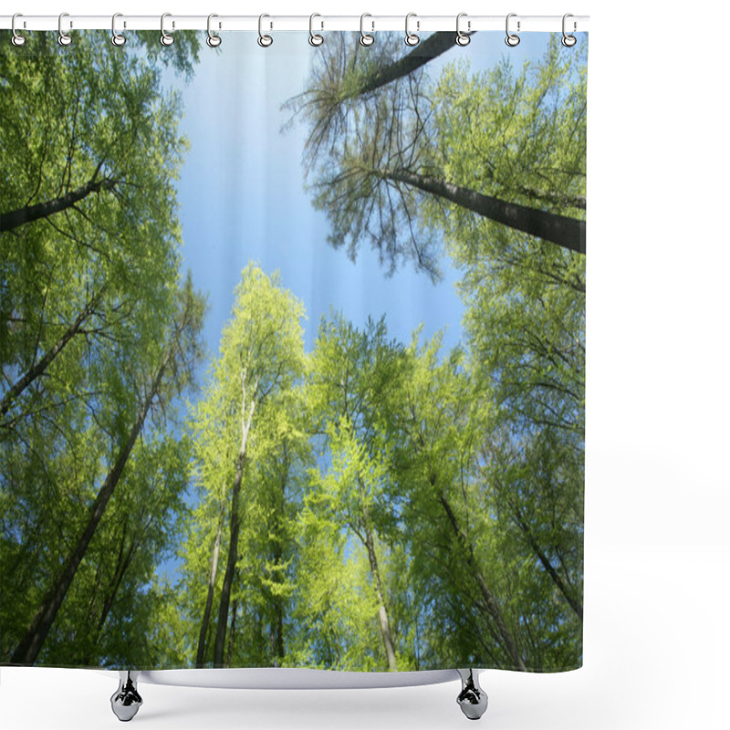 Personality  Spring Shower Curtains