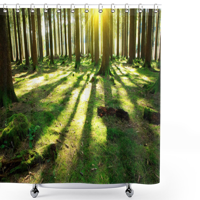 Personality  Bright Sun In The Forest . Shower Curtains