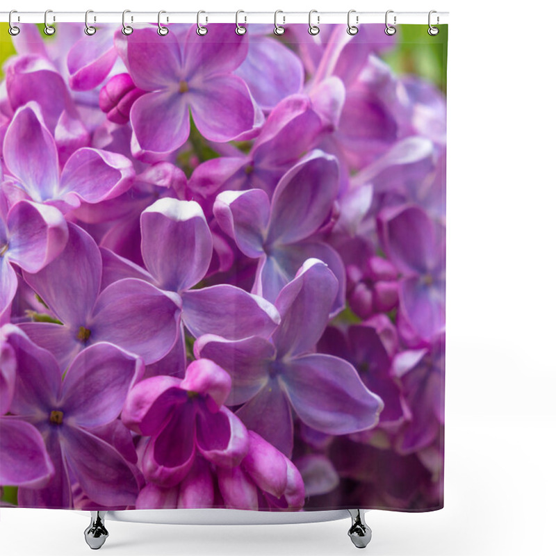 Personality  Beautiful Spring Lilac Flowers ,toned Image Shower Curtains