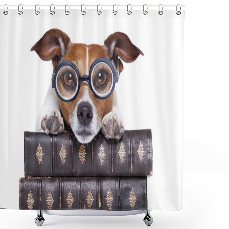 Personality  Dog Reading Books Shower Curtains