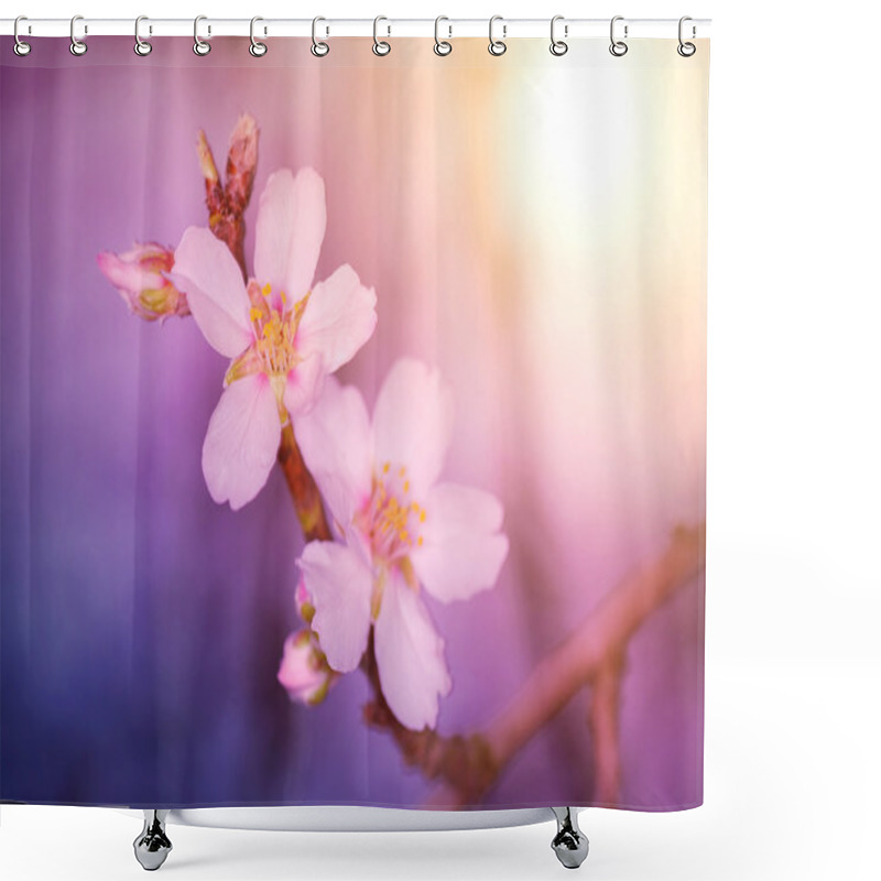 Personality  Dreamy Photo Of Cherry Flower Shower Curtains