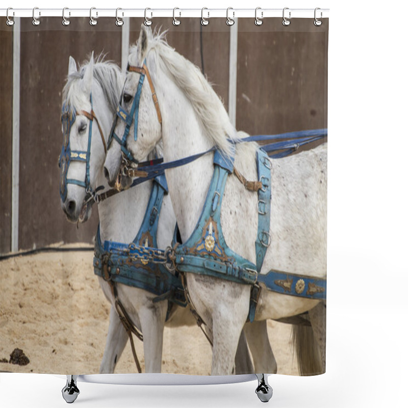 Personality  Roman Chariots Shower Curtains