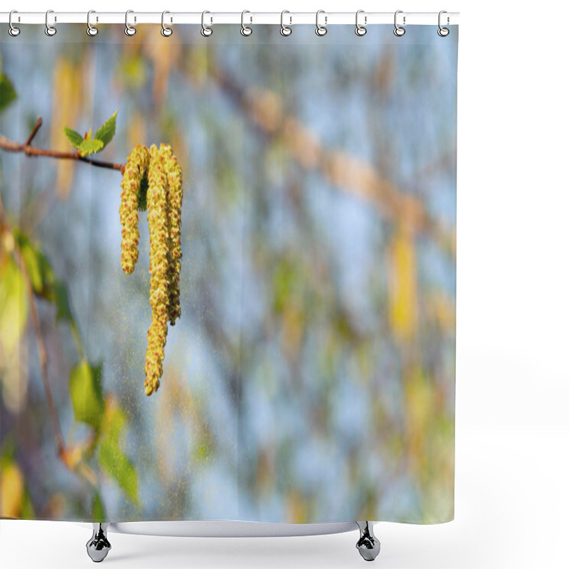 Personality  Birch Catkins In Spring Park Close-up, Allergies To Pollen Of Spring Flowering Plants Concept Shower Curtains