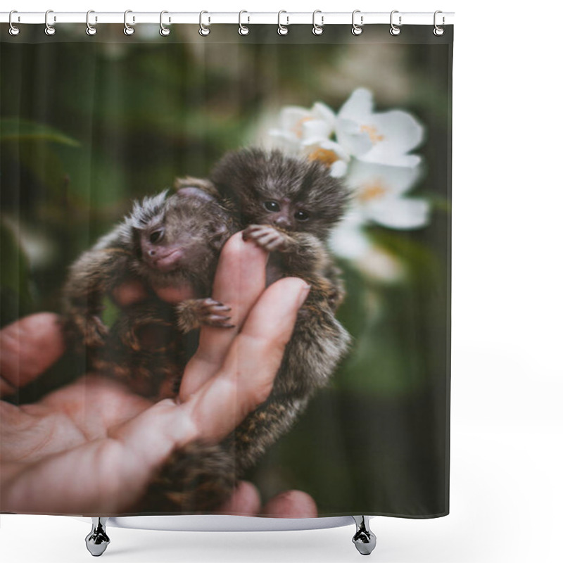 Personality  The Common Marmoset Babies In Summer Garden On Human Hand Shower Curtains