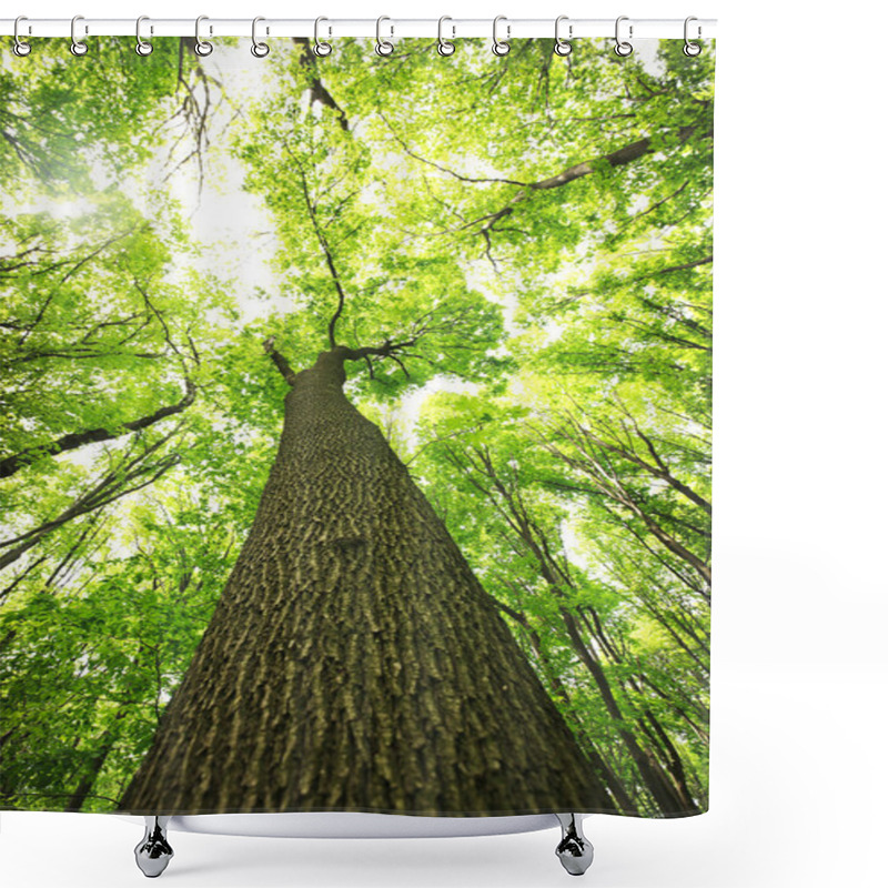 Personality  Trees In The Green Forest Shower Curtains