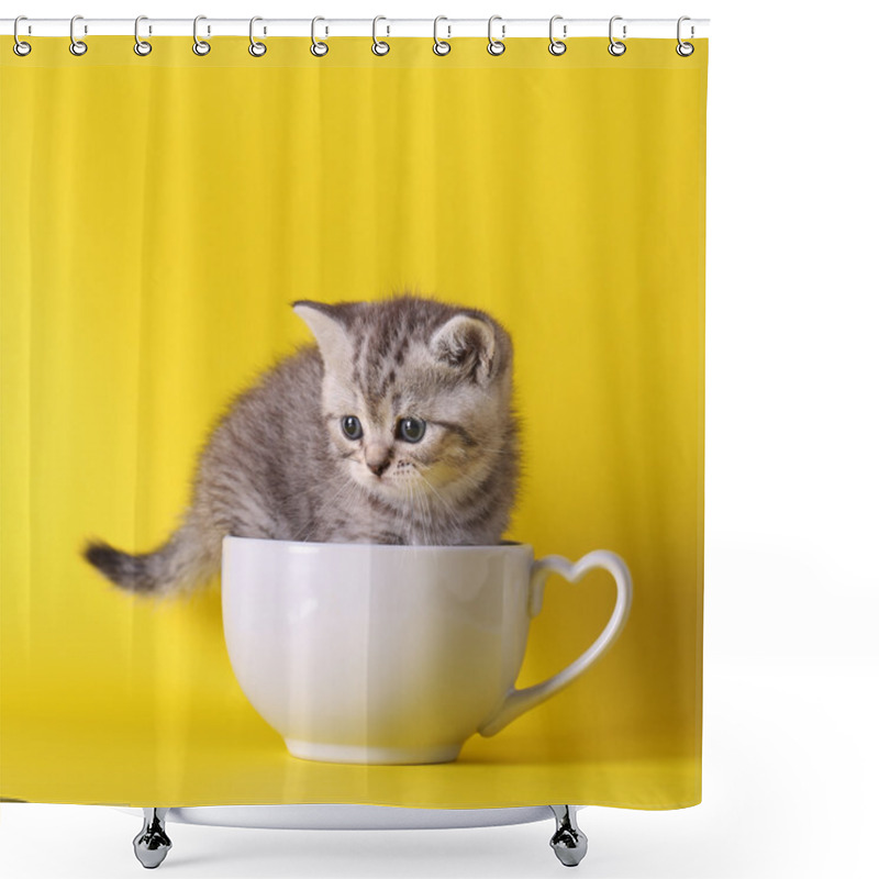 Personality  Cute Kittens Sitting Inside In Pastel Containers On Yellow Backg Shower Curtains