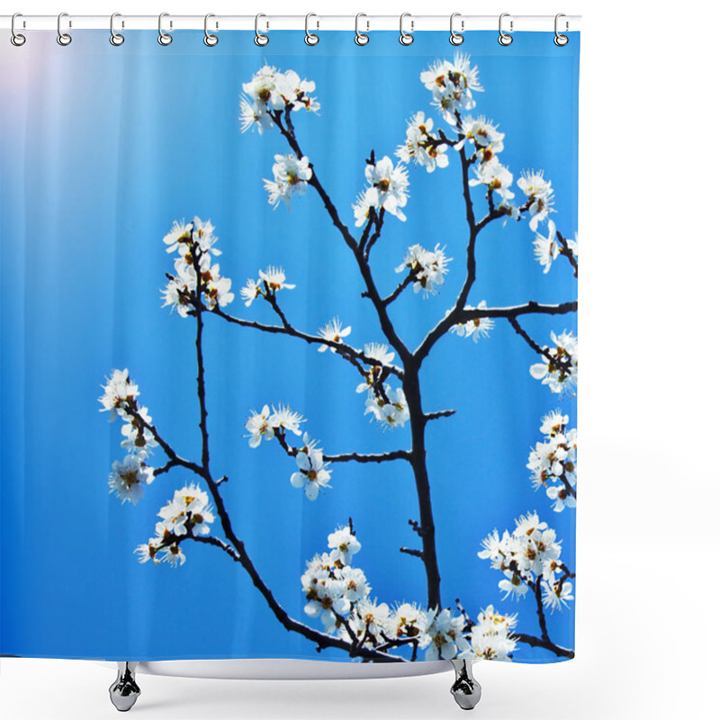 Personality  Blooming Tree Branch Over Blue Sky Shower Curtains