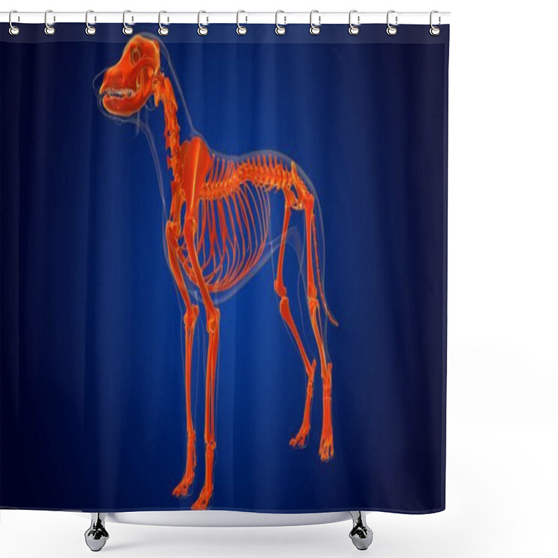 Personality  Dog Skeleton Anatomy For Medical Concept 3D Illustration Shower Curtains