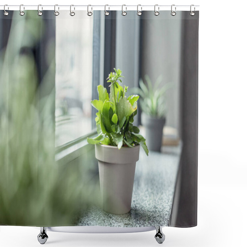 Personality  Green Plant In Flowerpot Shower Curtains