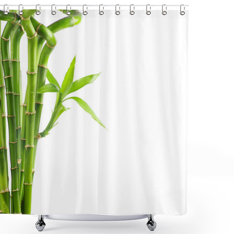 Personality  Bamboo On White Background Shower Curtains