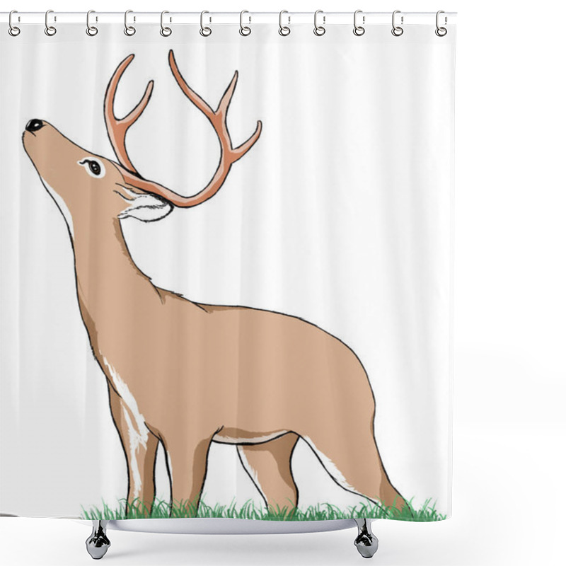 Personality   Deer With Antlers Standing On Grass Looking Up Shower Curtains