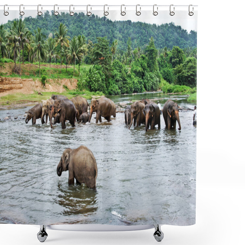 Personality  Flock Of Elephants In The River Shower Curtains