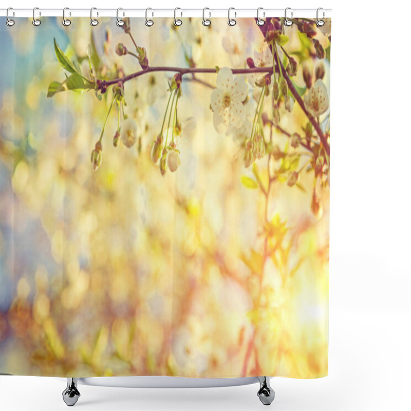 Personality  Blossoming Cherry Tree Close Up View Om Small Branch On Blurred  Shower Curtains