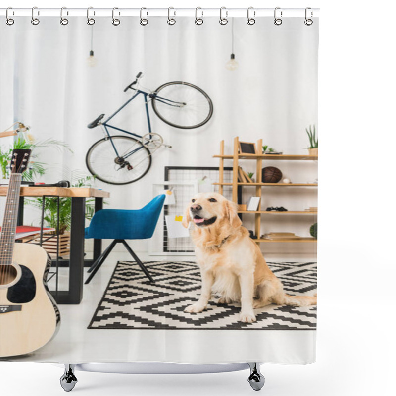 Personality  Funny Dog Sitting On Carpet On Floor And Looking Away Shower Curtains