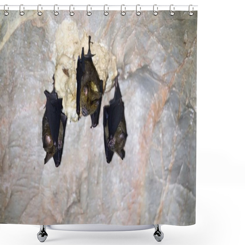 Personality  Three Bats In A Cave Shower Curtains