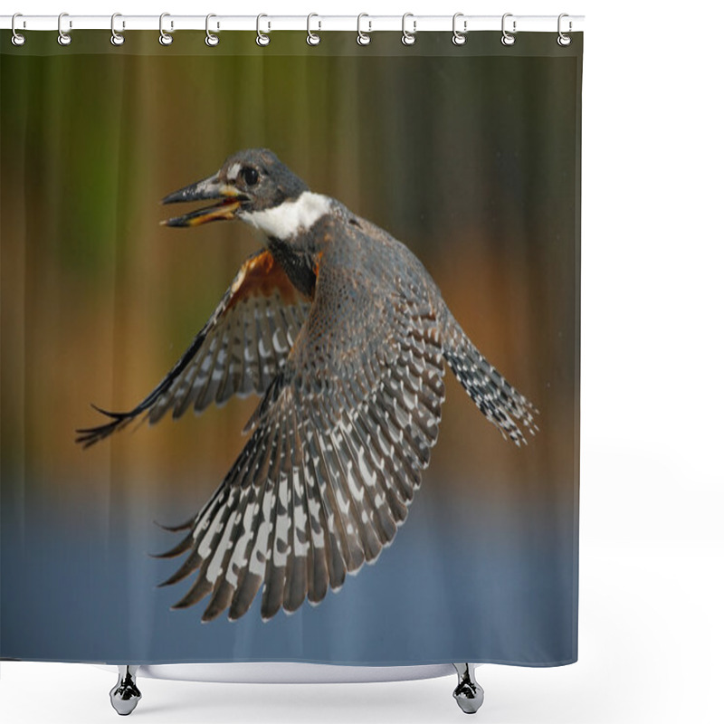 Personality  Flying Bird Ringed Kingfisher Shower Curtains