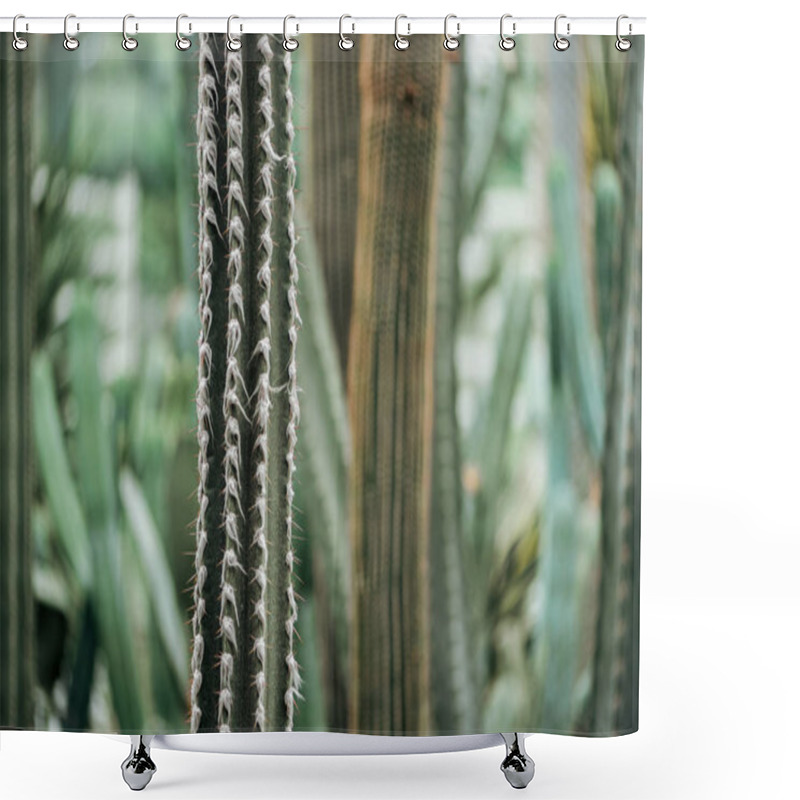 Personality  Selective Focus Of Sharp Green Prickly Cactus Shower Curtains