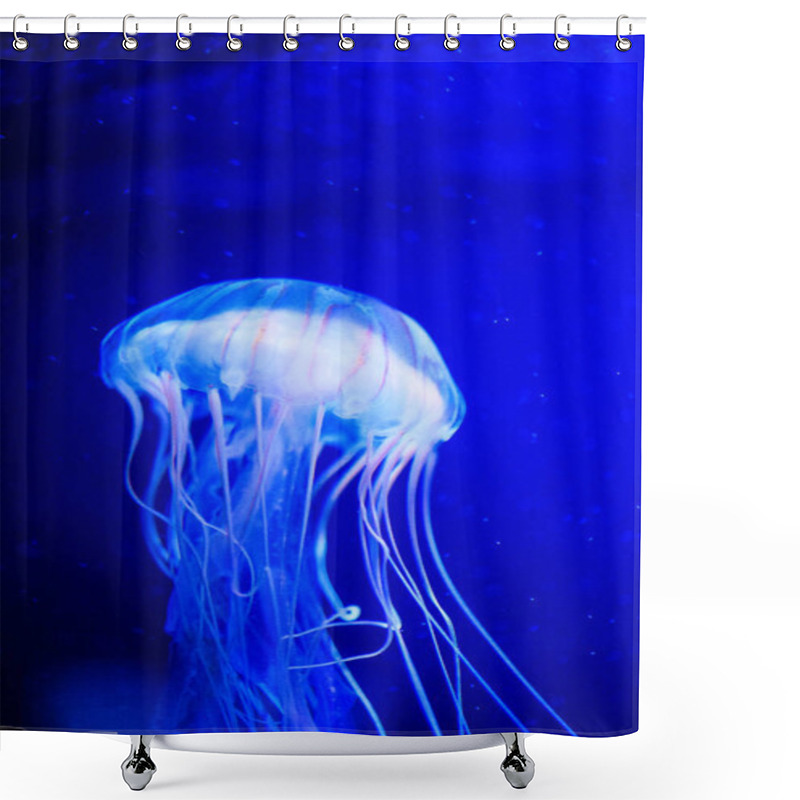 Personality  Beautiful Jellyfish, Medusa In The Neon Light With The Fishes. U Shower Curtains