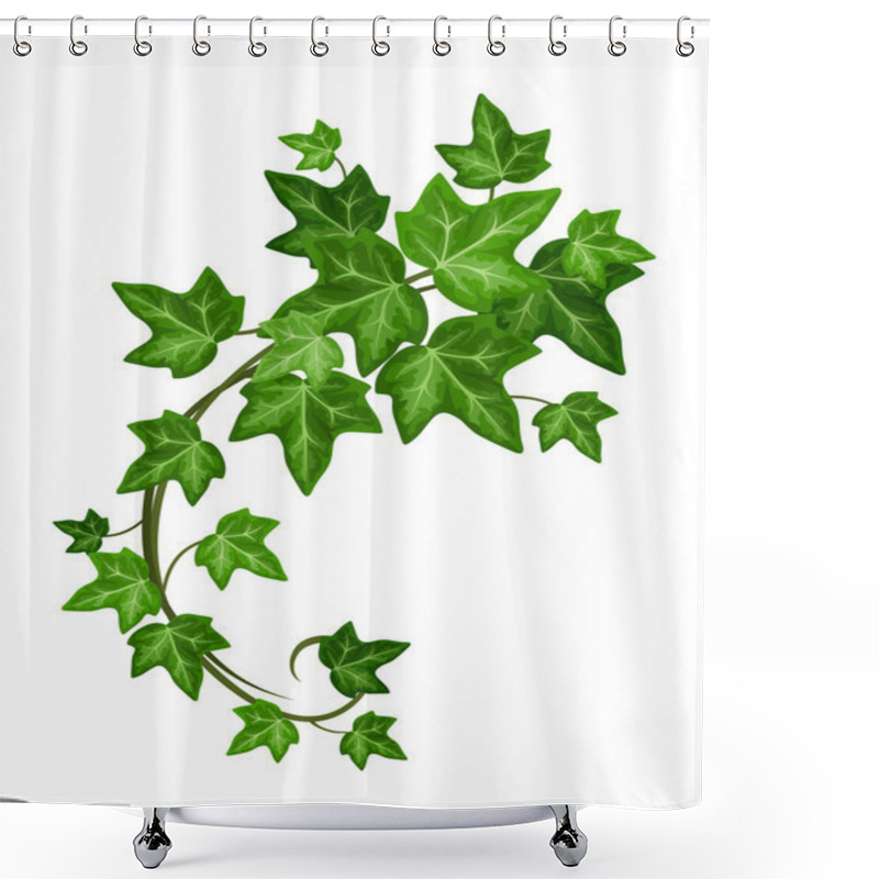 Personality  Ivy Branch. Vector Illustration. Shower Curtains