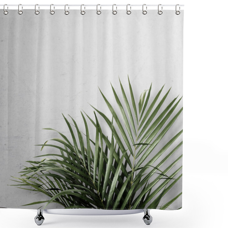 Personality  Areca Palm On Gray Background Shower Curtains