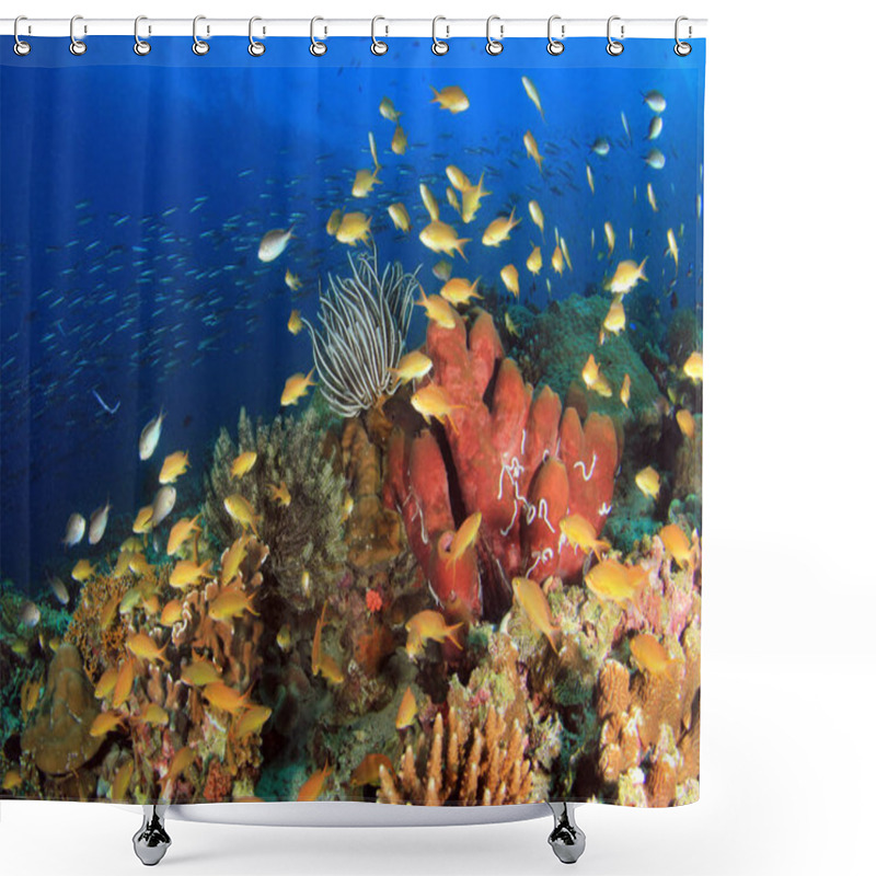 Personality  Colorful Coral Reef With Schools Of Fish Against Blue Water. Pescador Island, Moalboal, Philippines Shower Curtains