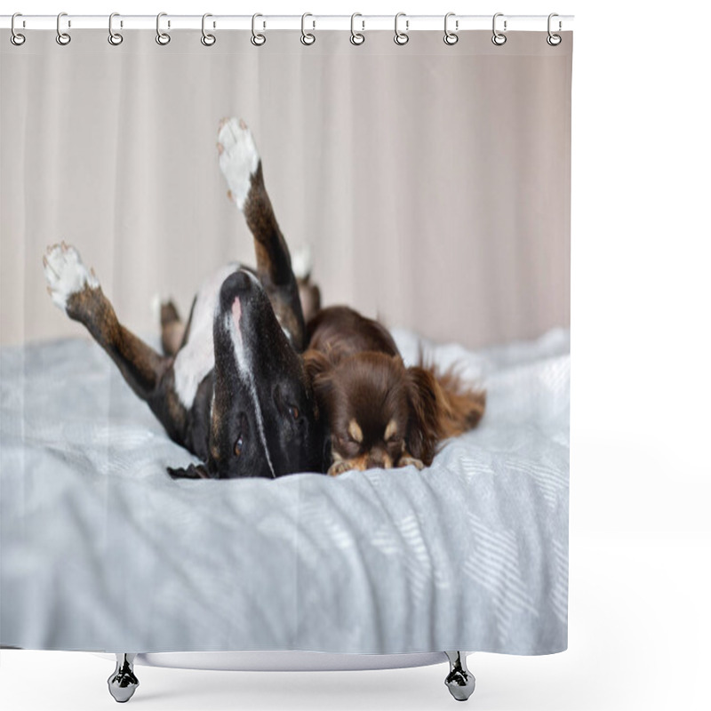 Personality  Two Dogs Resting On A Bed Indoors Shower Curtains