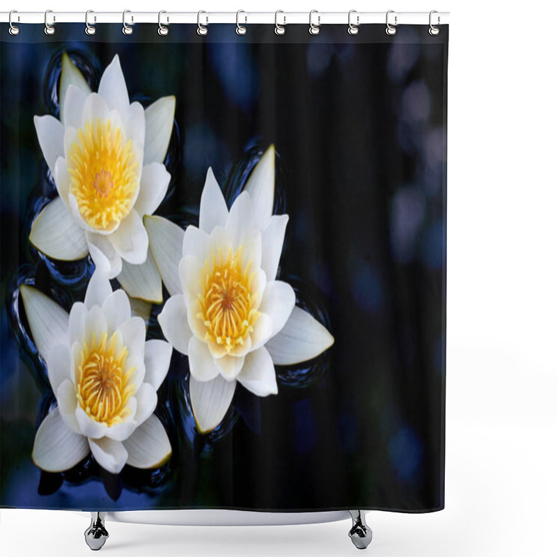 Personality  White Water Lilies With Yellow Center On The Water. Macro Photo Shower Curtains