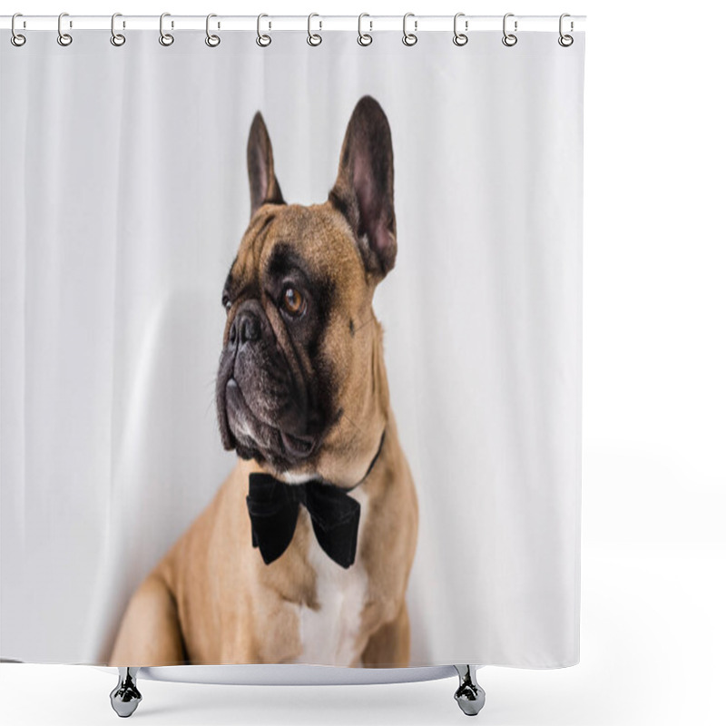 Personality  French Bulldog   Shower Curtains