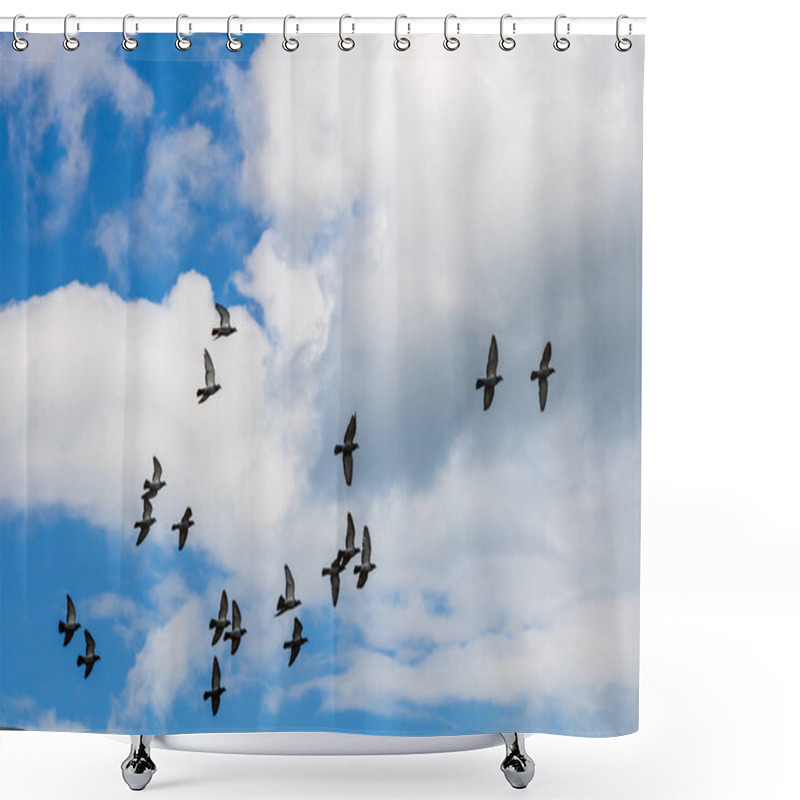 Personality  Many Pigeons Birds Flying In The Cloudy Sky Shower Curtains