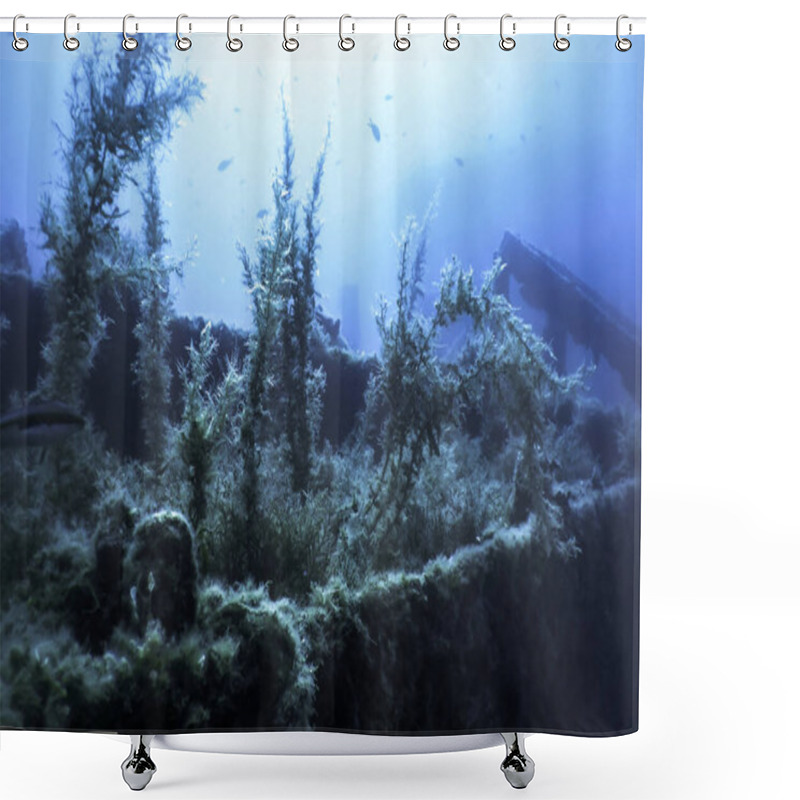 Personality  Shipwreck In The Blue Water, Rusty Shipwreck With Growing Corals, Underwater Shower Curtains