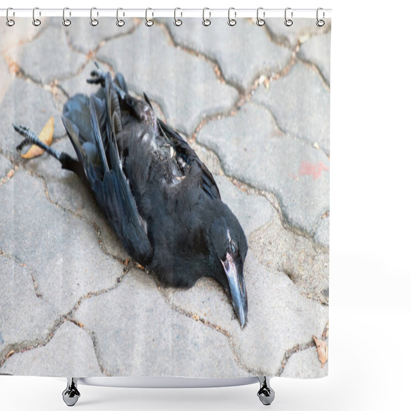 Personality  Dead Crow On The Floor Shower Curtains