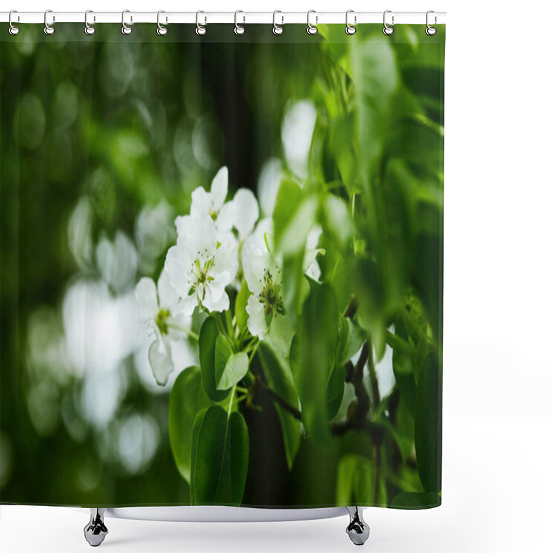 Personality  Close-up Shot Of Aromatic White Cherry Flowers On Tree Shower Curtains