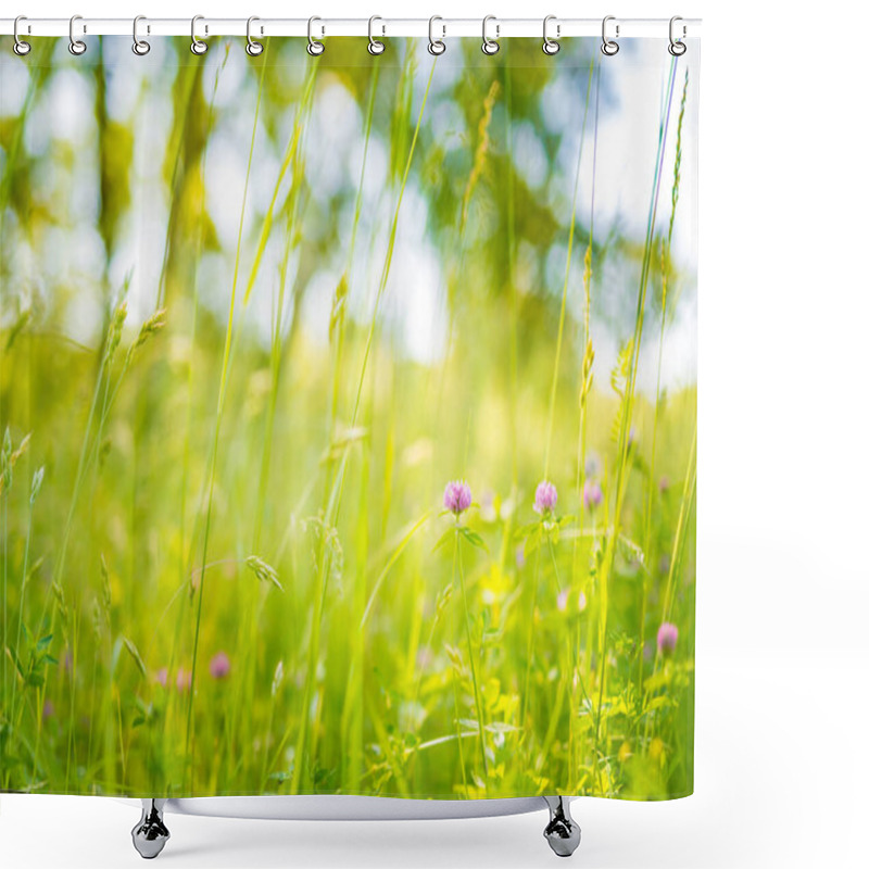 Personality  Nature Background Concept And Beautiful Summer Meadow Background. Inspirational Nature Closeup. Tranquil Nature Closeup, Calmness View And Colorful Natural Meadow On Defocused Background. Shower Curtains