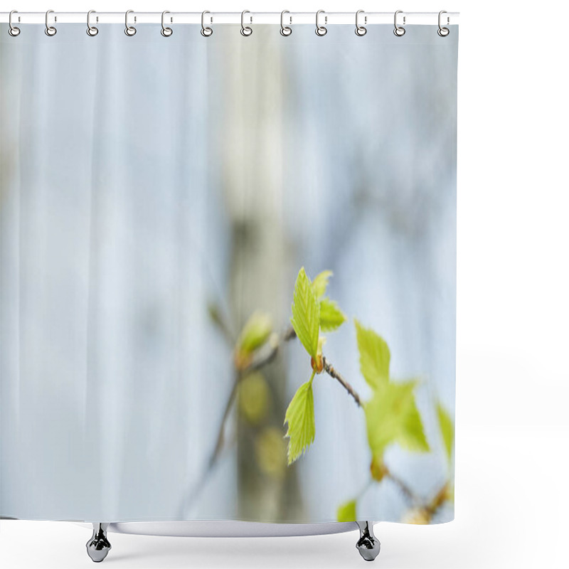 Personality  Selective Focus Of Green Leaves On Tree Branch In Spring Shower Curtains