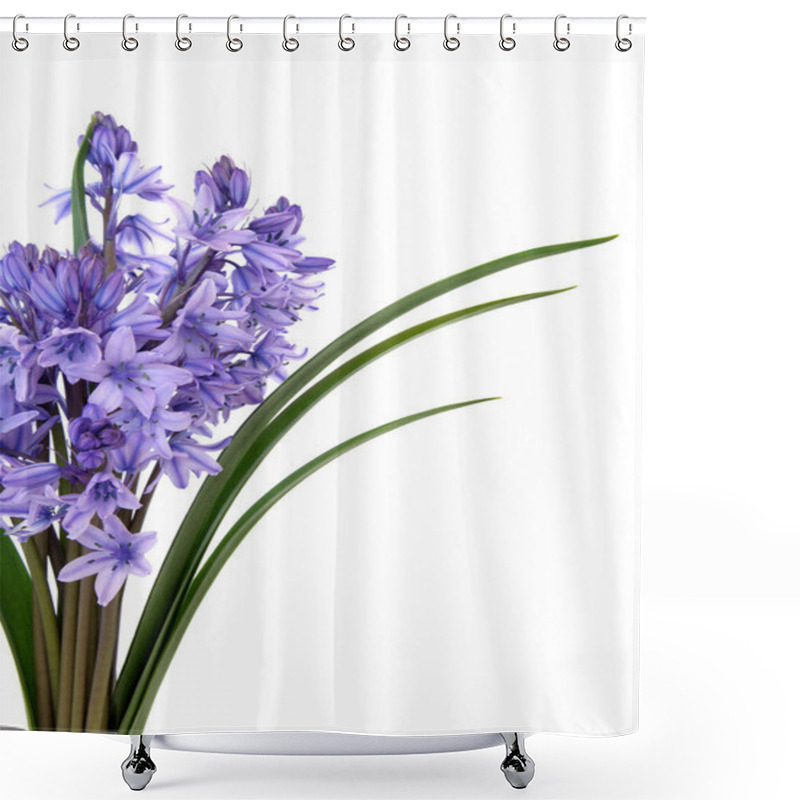 Personality  Bluebell Flower Beauty Shower Curtains