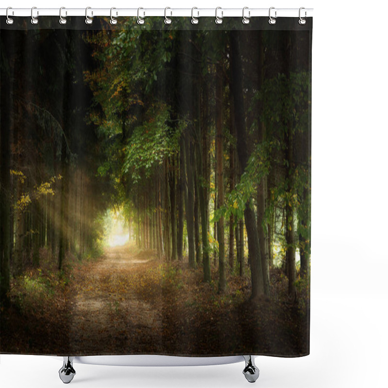 Personality  Trail Through The Pine Forest At Dawn Shower Curtains