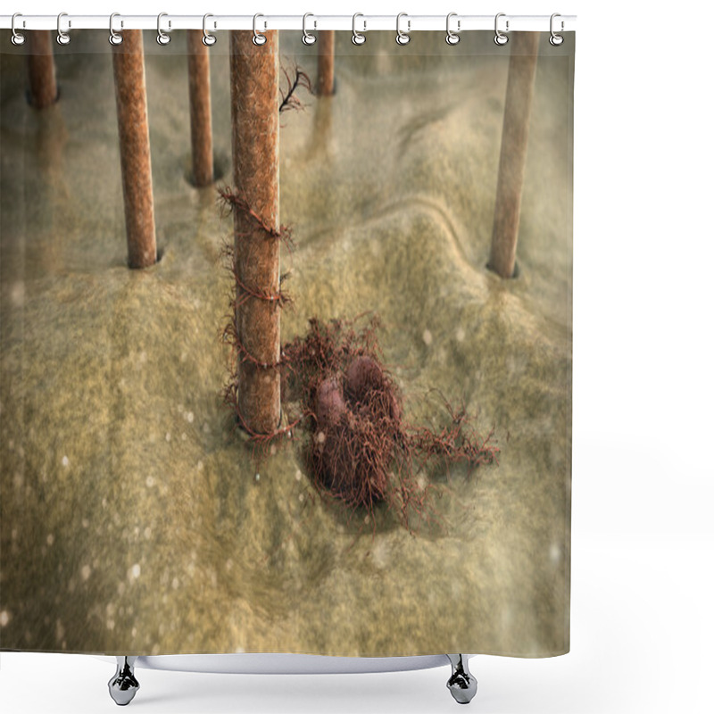 Personality  Hair, Fungus Shower Curtains