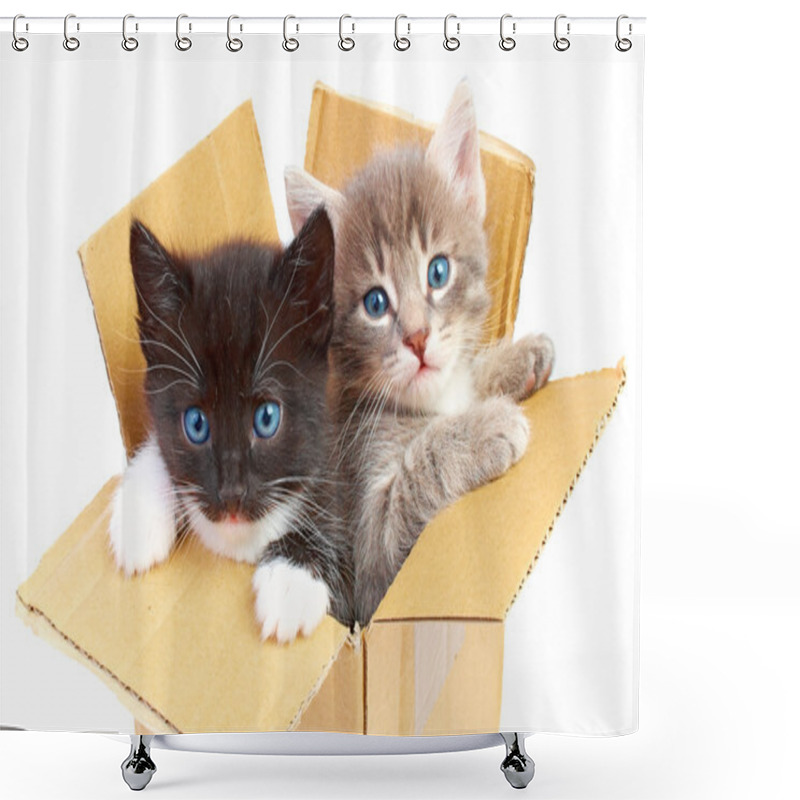 Personality  Kittens In Box Shower Curtains