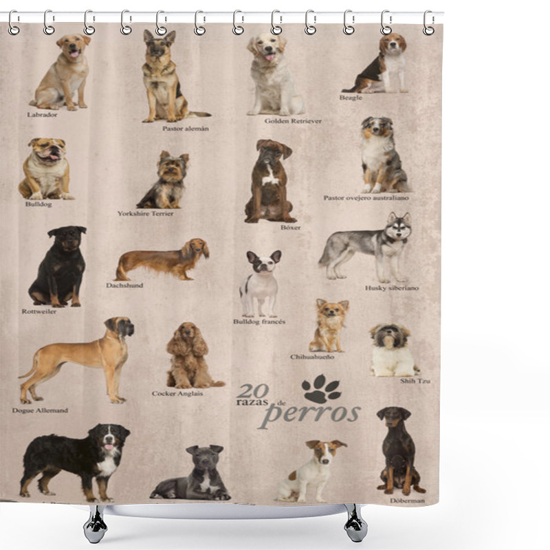 Personality  Dog Breeds Poster In Spanish Shower Curtains