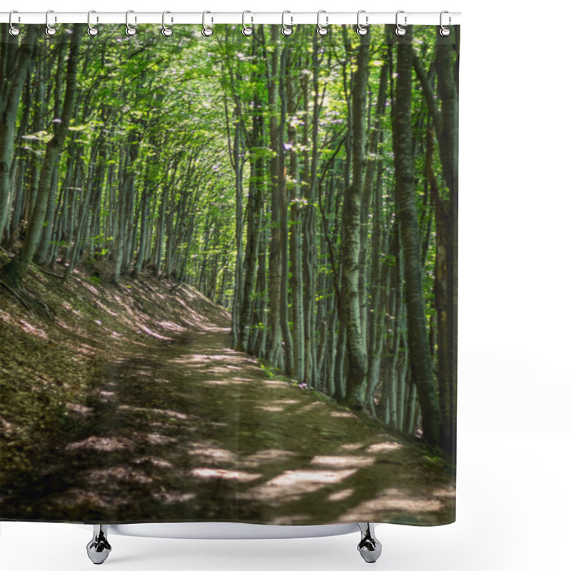 Personality  Tranquil Scene Of A Dirt Road Winding Through A Beech Forest On A Sunny Summer Day In The Carpathian Mountains, Showcasing Nature's Beauty Shower Curtains