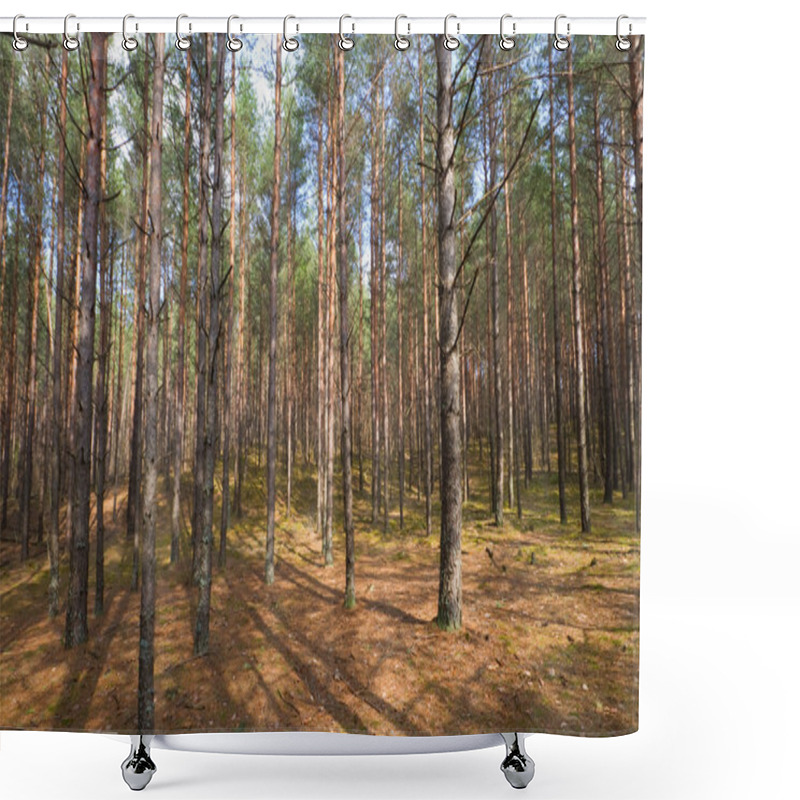 Personality  Spring Forest Shower Curtains